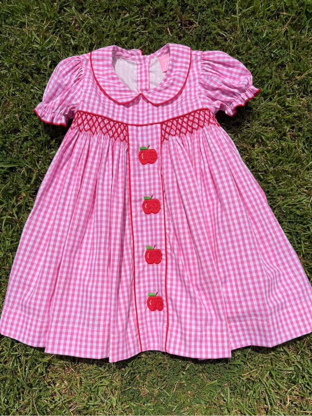 Gingham Apple Hand Smocked Dress